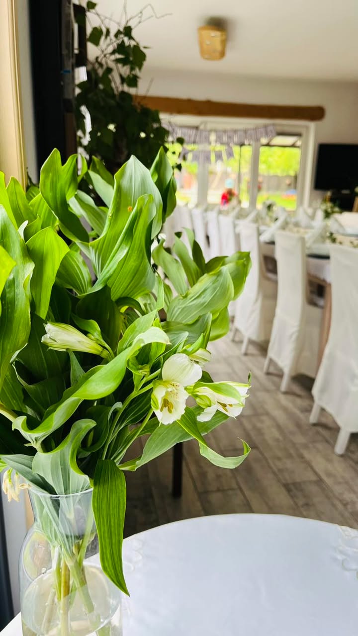 Agroturystyka w Jabłoniowym Sadzie