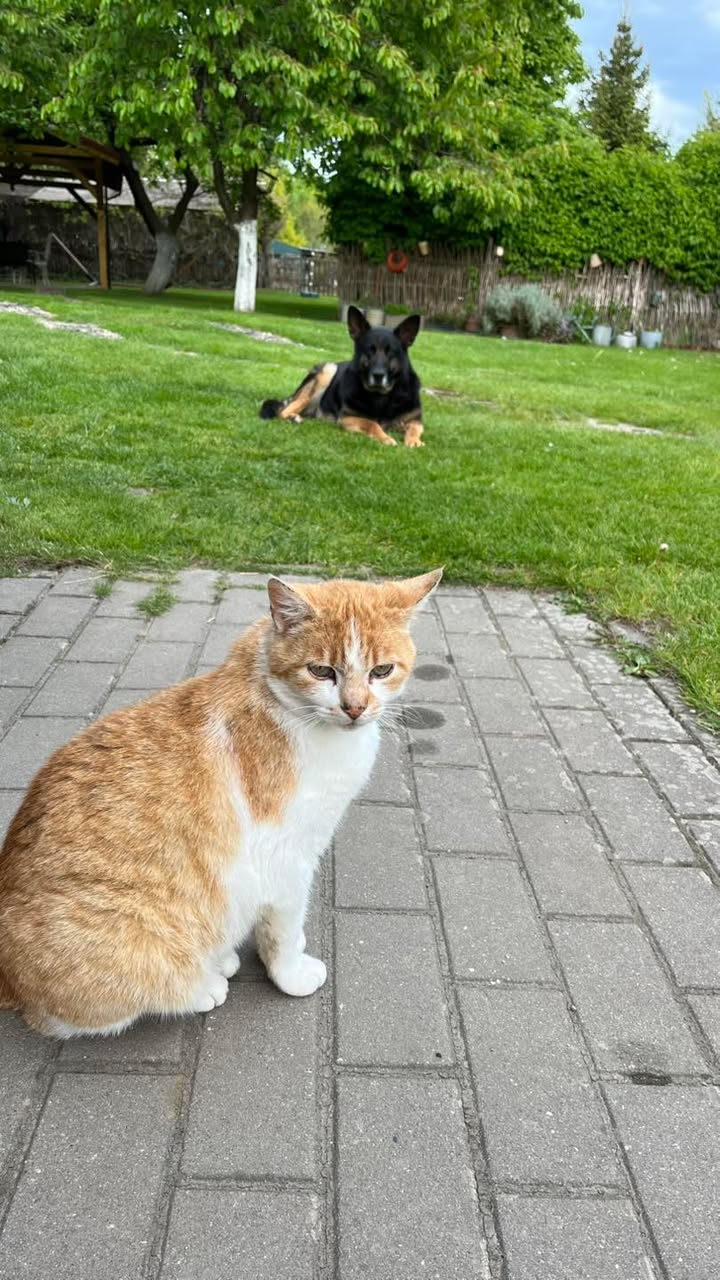 Agroturystyka w Jabłoniowym Sadzie