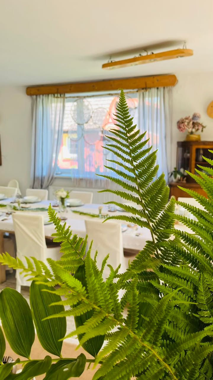 Agroturystyka w Jabłoniowym Sadzie