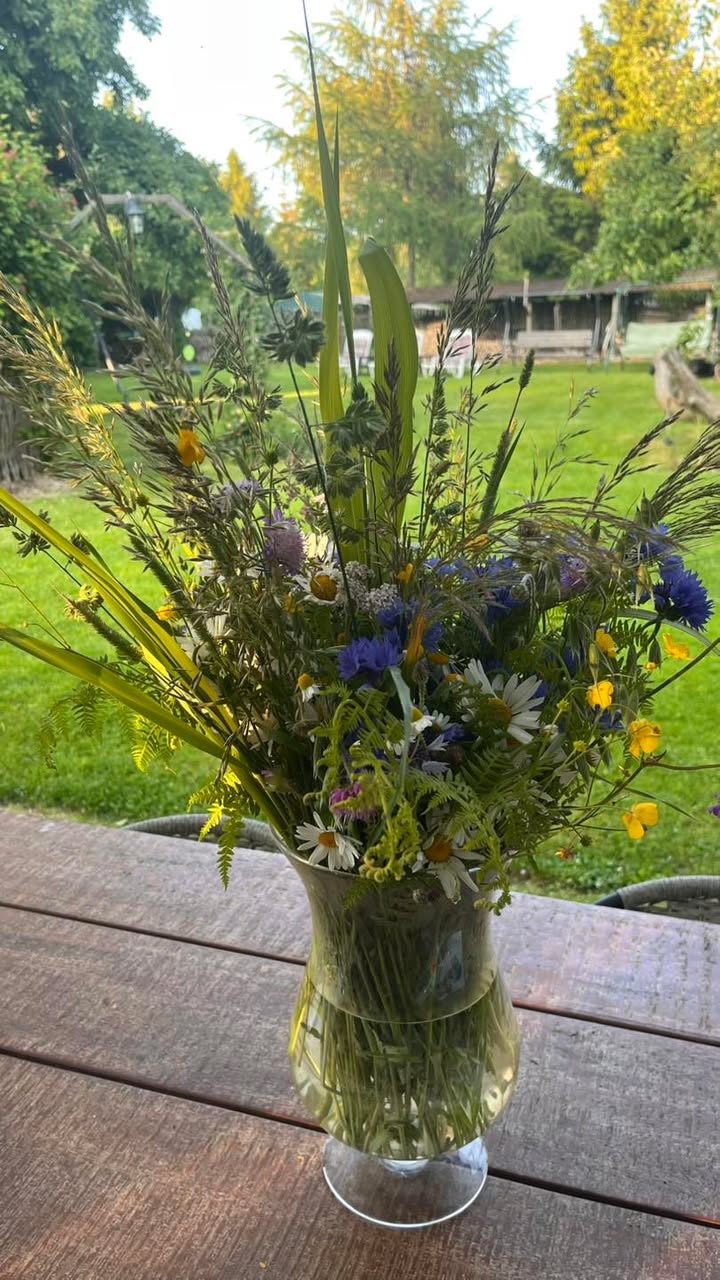 Agroturystyka w Jabłoniowym Sadzie